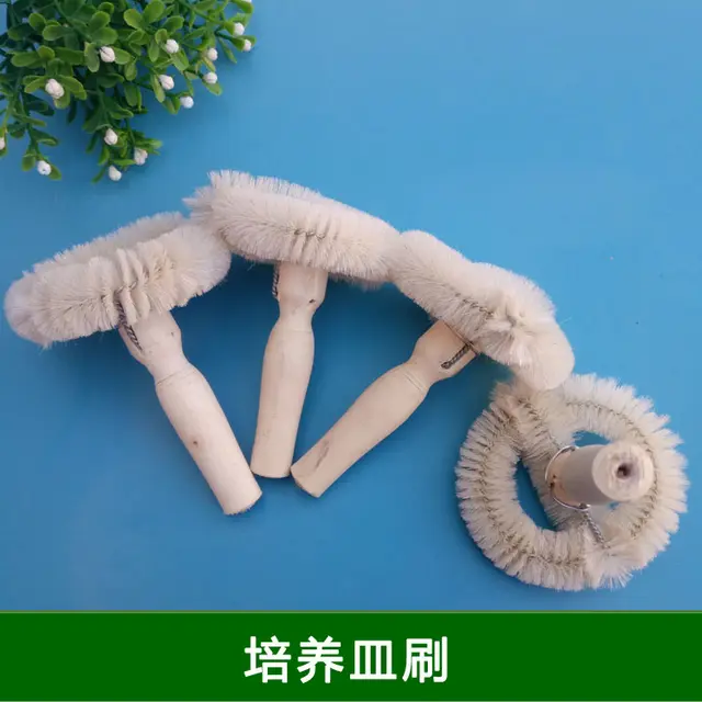 培养皿刷